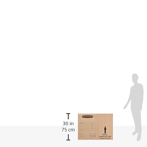 Bankers Box 4-Pack Medium TV/Picture/Mirror Moving Boxes | Protect TVs, mirrors, and framed art with rigid moving boxes sized for flat, fragile items. - style: Medium