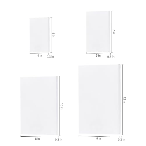 Hestya 12 Pcs Blank Canvas Painting 4 x 6/5 x 7/8 x 10/9 x 12 Inch | Pre-stretched Primed White Canvas, Acrylic Oil Paint Ready, Art Classroom Studio Supplies, Christmas Craft DIY Projects - size: 4 x 6 Inches/ 5 x 7 Inches/ 8 x 10 Inches/ 9 x 12