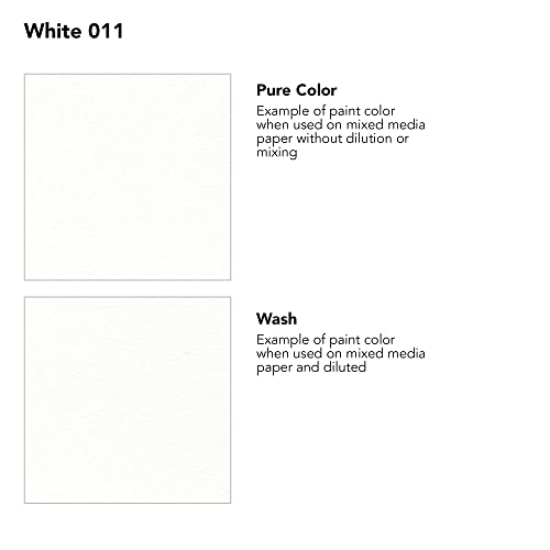 Daler-Rowney FW Acrylic Ink Bottle White - Versatile Acrylic Drawing Ink for Artists and Students - Permanent Calligraphy Ink - Archival Ink for Illustrating and More - color: White, size: 1 fl oz