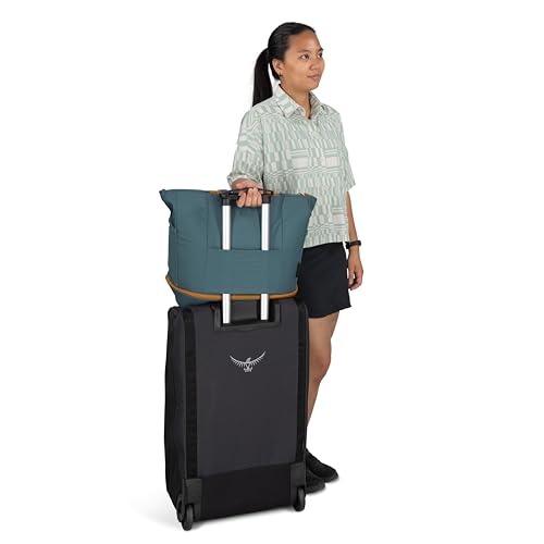 Osprey Daylite Large Tote Weekend Pack, Blue OS - color: Torrent Blue