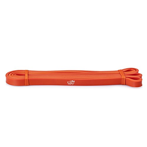 Fit Simplify Pull Up Assist Resistance Bands for Fitness, Physical Therapy, Stretching, Mobility and Exercise - color: Orange