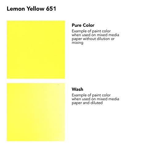 Daler-Rowney FW Acrylic Ink Bottle Lemon Yellow - Versatile Acrylic Drawing Ink for Artists and Students - Permanent Calligraphy Ink - Archival Ink for Illustrating and More - color: Lemon Yellow, size: 1 fl oz