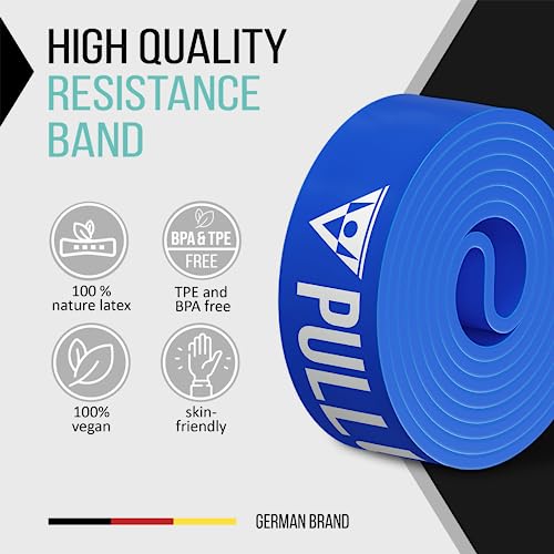 Pullup & DIP Fitness Bands, Resistance Bands with Bag, Door Anchor (with Sets) and Exercise Guide - Single & in Value Set, Pull-Up Band Fitness Band for Calisthenics - color: MEDIUM (Blue)