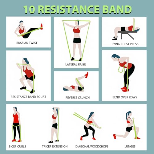 LEEKEY Resistance Bands for Pull Up Assist, Exercise & Workout Bands Set - color: 5-125LBS ORANGE+GRIP