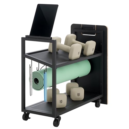 SEI Furniture - Sidekick Sport Equipment Rolling Rack - Transitional Design, Metal and Wood - Ideal for Bedroom, Living Room (HZ0123) - color: Oak