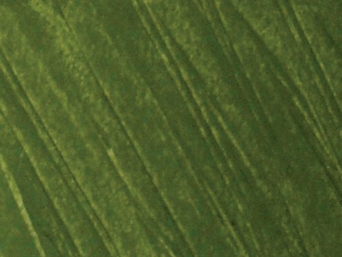 Jack Richeson Shiva Oil Paintstik, Meadow Green