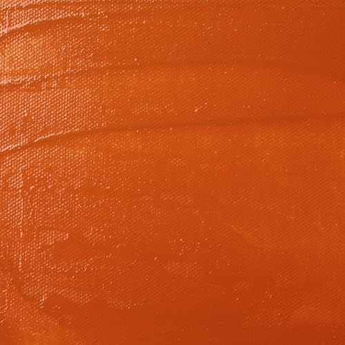 Liquitex Professional Satin Varnish, 1.89L (Half Gallon) Bucket | 100% Acrylic Polymer Varnish Satin Sheen, Protects & Resists Dirt Retention, Increases Brightness, Resists Discoloration - color: Satin, style: 64-oz