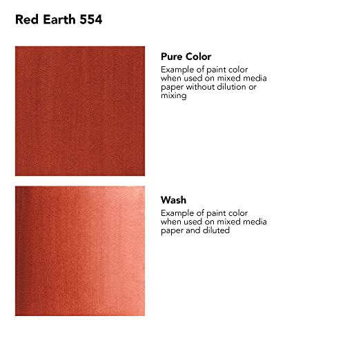 Daler-Rowney FW Acrylic Ink Bottle Red Earth - Versatile Acrylic Drawing Ink for Artists and Students - Permanent Calligraphy Ink - Archival Ink for Illustrating and More - color: Red Earth