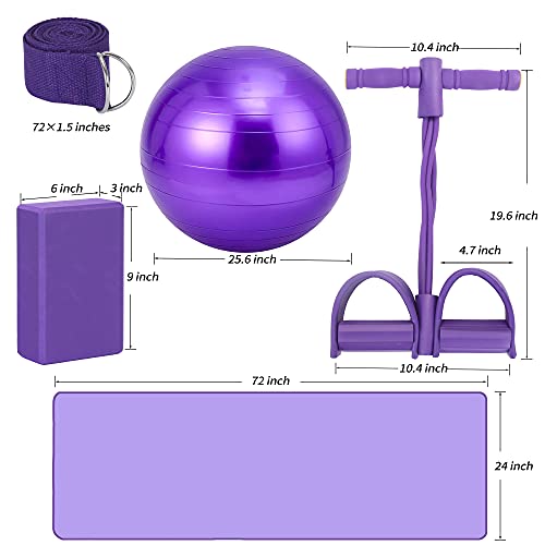 Yoga Mat Set for Beginners,Yoga Mat with Carrying Strap,Yoga Blocks 2 Pack with Yoga Strap,Yoga Ball,Ankle Puller,11-Piece Yoga Kits and Sets for Beginners,Yoga Starter Kit for Women Men - color: Purple