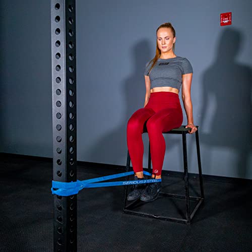 Serious Steel 41" Assisted Pull-up Band, Heavy Duty Resistance Band Sets, Stretching, Powerlifting, Resistance Training and Pull Up Assistance Bands - color: 2-Band Set (#2 #3)