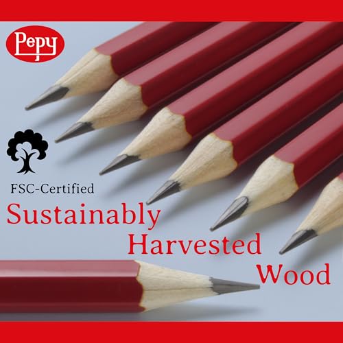 Pepy Graphite Professional Drawing Pencils - Set of 12 8H Pre-Sharpened Black Lead Pencils; Perfect for Drawing, Sketching and Shading, Graphic and Fine Art - style: Set of 12 - 8H