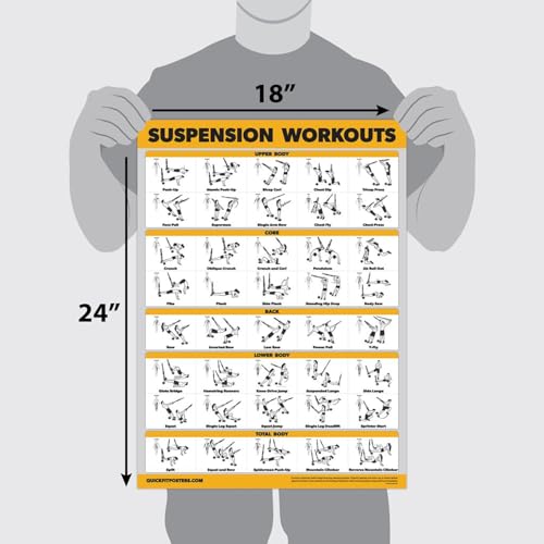 Palace Learning QUICKFIT Suspension Workout Exercise Poster - (Laminated, 18" x 24"), Hallway