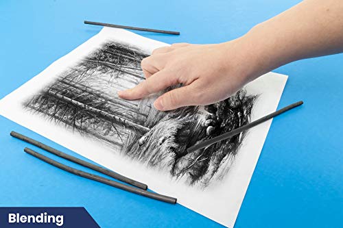 Pacific Arc Artist Vine Charcoal, Soft, Black 12 Pieces, Artist Vine Charcoal Sticks, Extra Soft and Smooth Drawing Charcoal - style: Soft | 12 Sticks