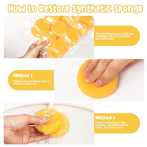 24Pcs Round Craft Sponge, Pottery sponges for Leather Care, Horse Tack Maintenance and Versatile Crafting - style: 3F-SyntheticSponges24PCS