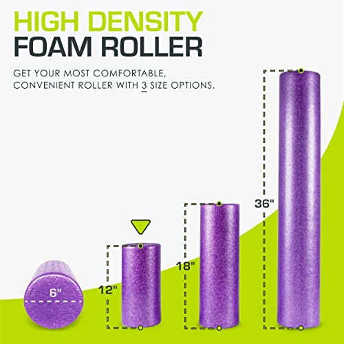 ProsourceFit High Density Foam Rollers 12 - inches long, Firm Full Body Athletic Massager for Back Stretching, Yoga, Pilates, Post Workout Trigger Point Release, Purple - color: Purple, size: 12"H x 6"D