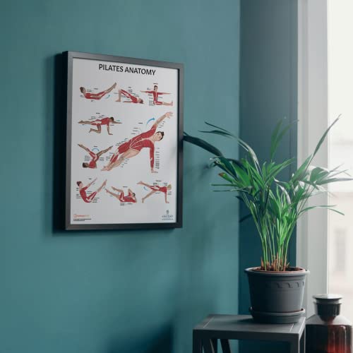 Anatomy Lab Pilates Anatomy Poster, LAMINATED, Pilates Wall Chart | 17.3 x 22.5 Inches, Anatomy and Physiology, Wall Pilates Exercise Chart, Workout Poster - color: Pilates