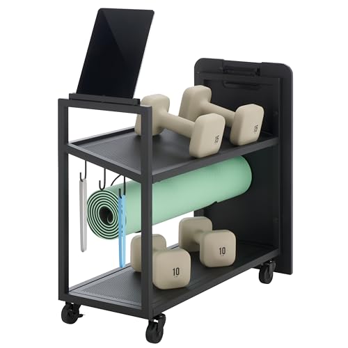 SEI Furniture - Sidekick Sport Equipment Rolling Rack - Transitional Design, Black Metal and Wood - Ideal for Bedroom, Living Room (HZ0122) - color: Black