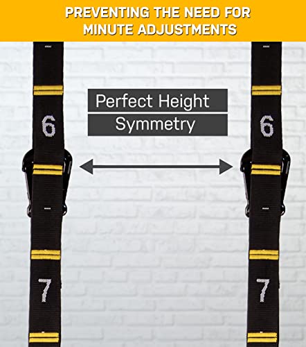 Double Circle Wood Gymnastics Rings with Quick Adjust Numbered Straps and Exercise Videos Guide - Full Body Workout Rings, Calisthenics, Home Gym (Multi-Size) - style: Rings 1.25 Inch