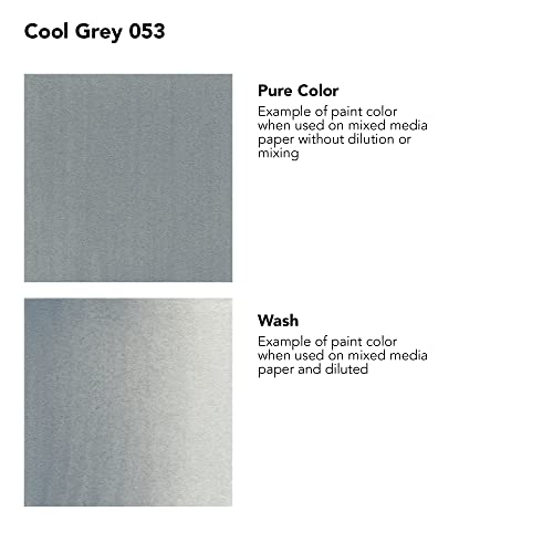 Daler-Rowney FW Acrylic Ink Bottle Cool Grey - Versatile Acrylic Drawing Ink for Artists and Students - Permanent Calligraphy Ink - Archival Ink for Illustrating and More - color: Cool Grey (053)