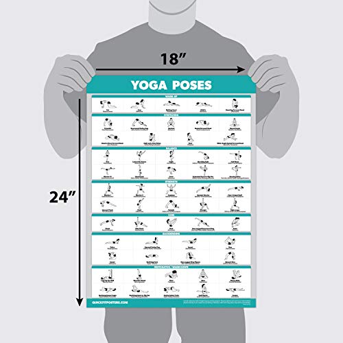 Palace Learning 4 Pack - Yoga Poses Poster Volume 1, 2 & 3 + Yoga Positions with Yoga Blocks - Beginner Yoga Position Exercise Charts - English and Sanskrit Names
