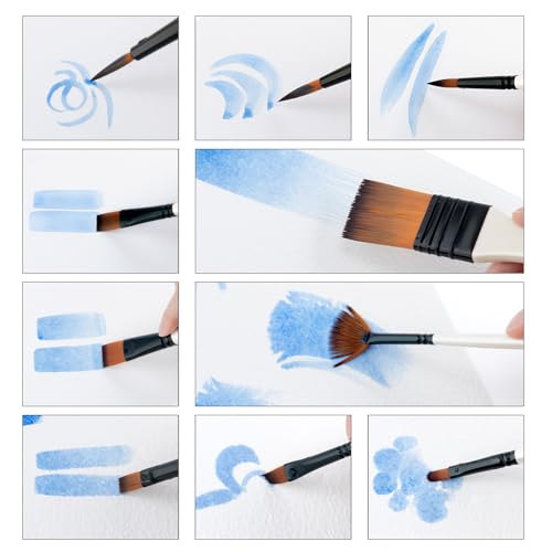 Transon Paint Brush Kit 10pcs Art Brushes and 1 Paint Spatula with Brush Case - color: White