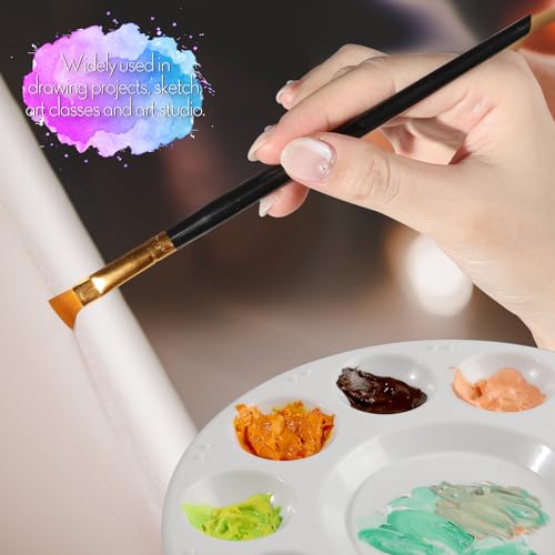 FANDAMEI Round Paint Tray Palettes and Paint Brushes Set, Paintbrushes, 3 PCS Plastic Paint Palettes Pallets, 10 PCS Acrylic Paint Brushes, Nylon Hair Painting Brushes, for Acrylic Oil Watercolor - color: Black