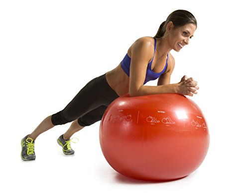 GoFit Professional Stability Ball 75cm Anti-Burst Exercise Ball for Core Strengthening, Balance Training, Yoga, Pilates & Physical Therapy, Non-Slip Surface, Hand Pump Included - color: Red, size: 65 cm