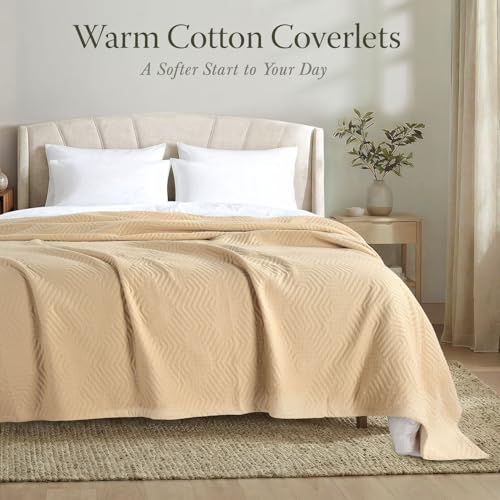 Threadmill Luxury Cotton Blankets for Queen Size Bed | All-Season 100% Cotton Queen Size Blanket | Aster Jacquard Cozy Lightweight, Soft Breathable Coverlet fits Full Size Bed, 90x92 | Beige - color: Aster Beige, size: Queen / Full