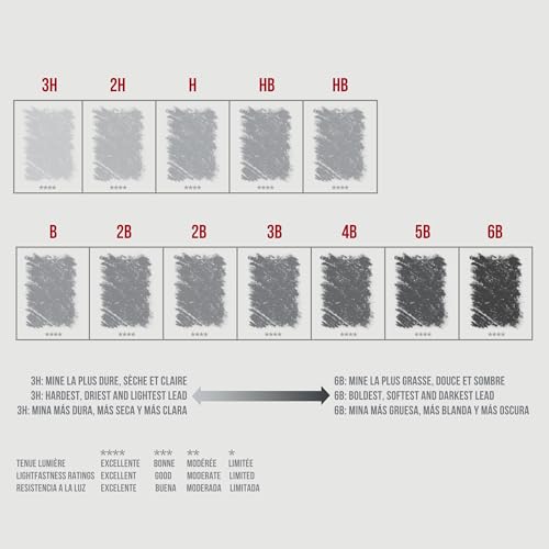 Conté à Paris 12 Count Assorted Graphite Pencil Drawing Set | Multiple Drawing Grades, Smooth Laydown And Easy Blending, Ideal For Shading Detail And Technical Sketching - style: 12 Count Assorted Graphite Pencil Drawing Set
