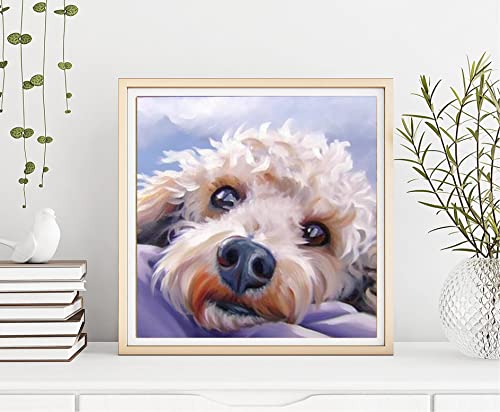 Diymood DIY 5D Diamond Painting Kits for Adults Dog Puppy - Diamond Art Kits for Adults Animal | Full Drill Round | Crystal Mosaic Picture | Beginner | Home Wall Decor | 12x12 Inch - color: Colorful2