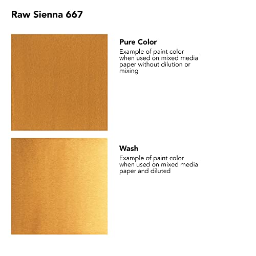 Daler-Rowney FW Acrylic Artists Ink, 1 oz, Raw Sienna (160029667) - color: Raw Sienna