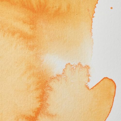 Winsor & Newton Professional Watercolor, 5ml Tube, Cadmium Orange | Unrivalled Transparency, Single Pigment Vibrant Colors, Archival Permanence, Heritage Watercolors, Finest Pigments - color: Cadmium Orange, style: 0.17-oz Tube