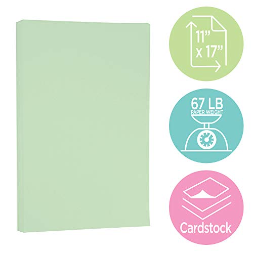 JAM PAPER Vellum Bristol 65lb Cardstock - 11 x 17 Ledger Size Coverstock - 147 gsm - Green - 50 Tabloid Sheets/Pack - color: Green, size: 11" x 17"