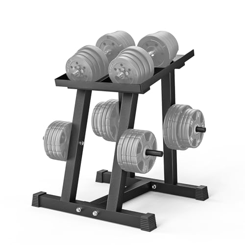 500lbs Capacity Adjustable Dumbbell Stand, Storage Rack with 1" Plate Tree