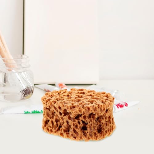 ibasenice Sponge Seaweed Tool, Natural Painting Tool 5.90X4.72X2.75In Reusable Paint Sponge for Arts Crafts Walls Furniture Drywall Texture and Decorative Patterns