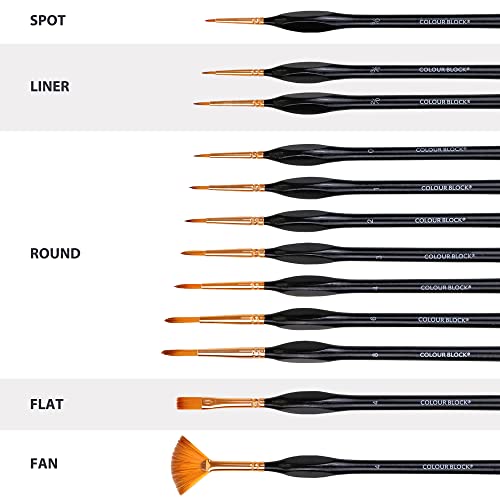 COLOUR BLOCK 12PC Artist Paint Brush Set in Leather Case for Easy Storage, Detail Paint Brushes kit, Miniature Art Set, Craft Supplies for Acrylic, Watercolor, Gouache and Model Painting