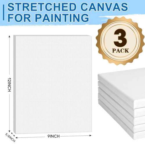 ESRICH Stretched Canvas for Painting, 3 Pack 9x12 Inch Canvas Value Pack,Primed Acid-Free Cotton Blank Canvases, Painting Canvas for Oil & Acrylic Paint. - size: 9x12in