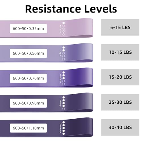 Resistance Loop Exercise Bands for Home Fitness, Yoga Pilates, Stretching, Strength Training, and Physical Therapy - Elastic Bands Set Workout Bands for Women&Men (5pcs Set) - color: Purple