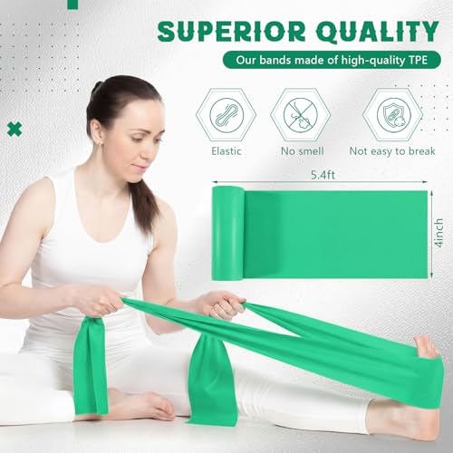 Shappy 10 Pack Resistance Bands, 5.4ft Long Exercise Band Bulk, Non-Latex Elastic Stretch Bands for Physical Therapy, Stretching, Rehab, Yoga, Pilates, Gym, Home Exercise - size: 28 lbs