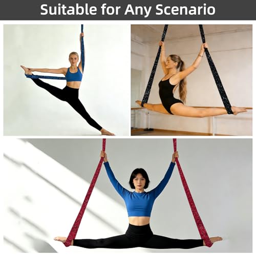 PRIOR FITNESS Aerial Loops Set,SGS Certified,9ft Yoga Straps Trapeze 2pcs - color: Glitter Blue