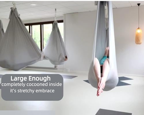 F.Life Aerial Silk Yoga Hammock & Swing for yoga Inversion,Strength training,starter hardware kit - color: sliver