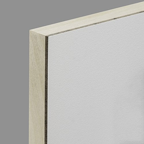 Ampersand Aquabord Panel for Watercolor and Gouache, 7/8 Inch Depth, 8X10 Inch (CBTC0810) - color: Flat Profile, size: 7/8 Inch, 8" x 10"