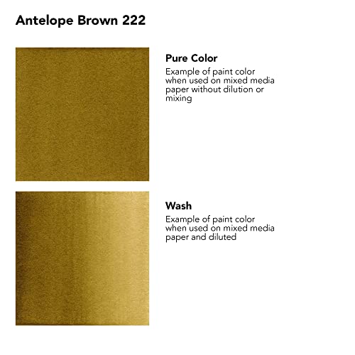 Daler-Rowney FW Acrylic Artists Ink, 1 Oz, Antelope Brown (160029222) - color: Brown
