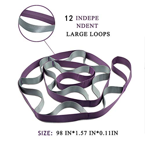 SANKUU Yoga Straps Stretching Strap with 12 Loops Workout Poster, Straps for Stretching Physical Therapy Equipment Long Stretch Out Bands for Exercise, Pilates and Gymnastics for Women Men - color: Purple+Grey