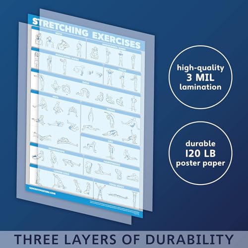 Palace Learning QUICKFIT 3 Pack - Yoga Poses + Stretching Exercises + Pilates Mat Work Poster Set - Set of 3 Workout Charts (with Plastic Frame, 18" x 24") - color: with Plastic Frame