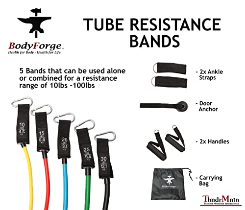 BodyForge 저항 밴드, 운동 밴드, 운동을 위한 저항 밴드, 남성 및 여성용 손잡이가 있는 운동 밴드, 근력 훈련 홈 체육관 장비 - size: 1 Pack