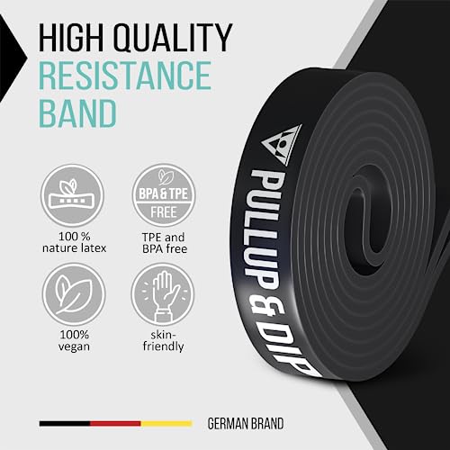 Pullup & DIP Fitness Bands, Resistance Bands with Bag, Door Anchor (with Sets) and Exercise Guide - Single & in Value Set, Pull-Up Band Fitness Band for Calisthenics - color: LIGHT (Black)