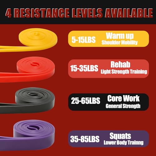 Resistance Bands, Pull Up Assistance Bands Set for Men & Women, Exercise Workout Bands for Working Out, Muscle Training, Physical Therapy, Body Stretching