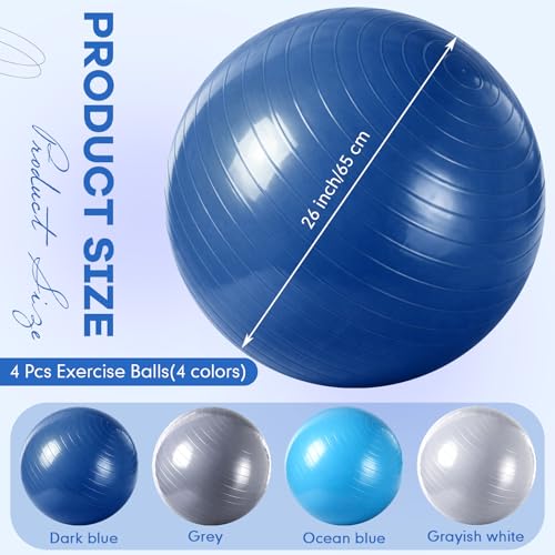 Leyndo 4 Pcs 26 Inch Yoga Exercise Ball Pilates - color: Blue Gray Set