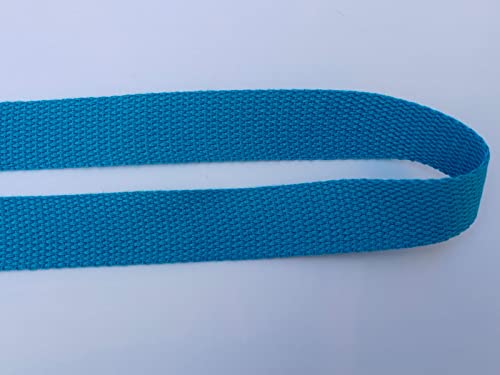 1 Inch Cotton Webbing 10 Yards Cotton Strap for Tote Canvas Bags Crafts Sewing (2048 Lake Blue) - color: 2048 Lake Blue